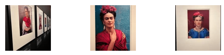 Pinturas de Frida Kahlo em exposição no Palais Galliera